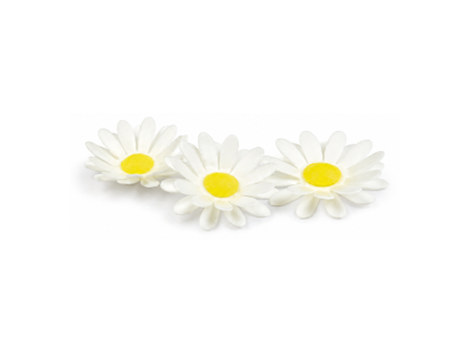 Květ bílý Margherita průměr 4,5 cm 100 ks
