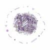Cukrová dekorace PME – Glam 60 g;02