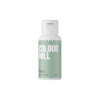 Colour Mill tekutá olejová barva šalvějová (sage) 20 ml