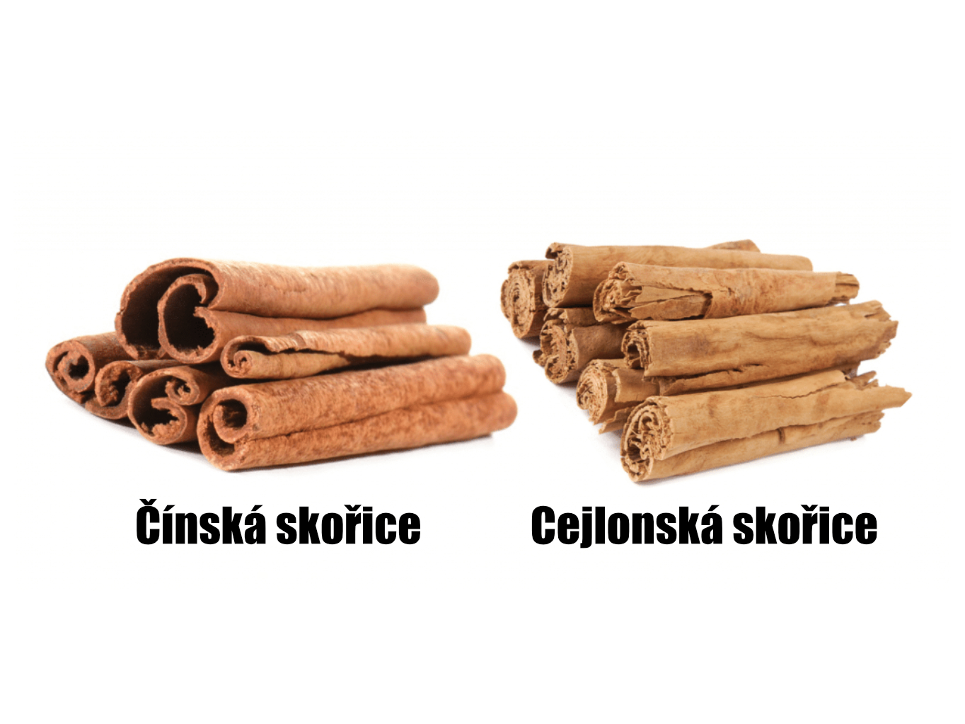 Skořice čínská a cejlonská
