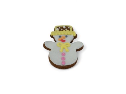 Sněhulák malý - barevný