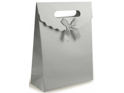Taška z papíru 19x27cm - stříbrná Dárkové obaly Papírové tašky