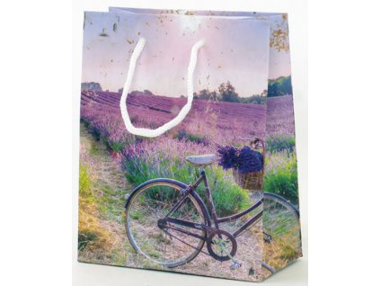 Taška z papíru 23x18cm - Kolo 01 Dárkové obaly Papírové tašky