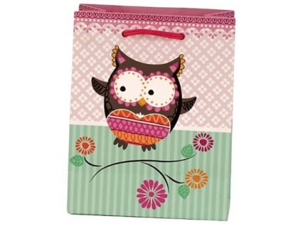 Taška z papíru 14x11cm - Funny Owls 02 Dárkové obaly Papírové tašky