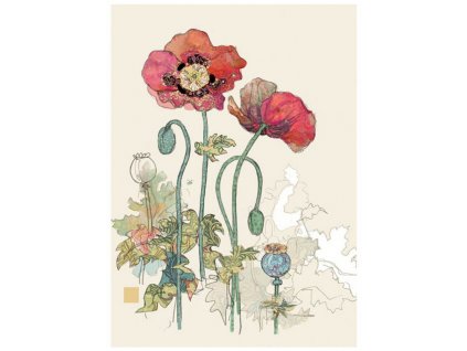 Přání 00519 - 13x18cm, zlatotisk - Two Red Poppies Přání Příroda Květiny