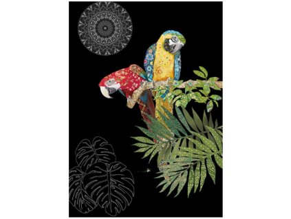 Přání 00627 - 13x18cm, zlatotisk - Two Parrots Přání Zvířata Ptáci