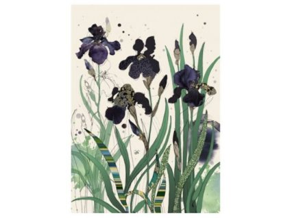 Přání 01086 - 13x18cm, zlatotisk - Black Irises Přání Smuteční 
