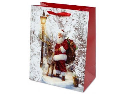 Taška z papíru s glitry 23x18cm - vánoční - 03 TIP na vánoční dárky Vánoční obaly
