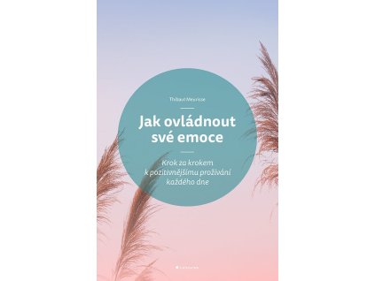 Jak ovládnout své emoce Knihy Rozvoj osobnosti