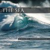 CD - The Sea Čaje, Byliny Hudba