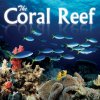 CD - The Coral Reef Čaje, Byliny Hudba