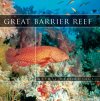 CD - Great Barrier Reef Čaje, Byliny Hudba
