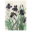 Přání 01086 - 13x18cm, zlatotisk - Black Irises Přání Smuteční 