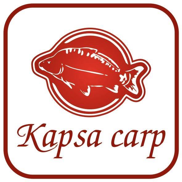 🎯 Teorie nestačí. Rozhoduje to, co funguje u vody.