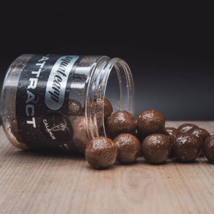 calanus boilies v dipu SvětPVA.cz