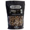 493 7 boilies calanus 2