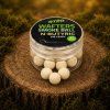 Steg Wafters 1024x1024 100kb