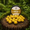 Balance R3