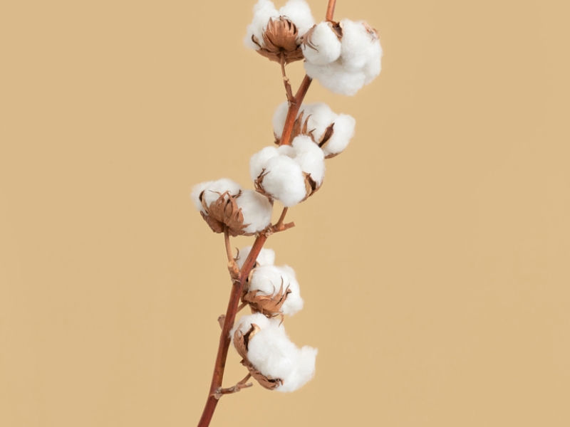 Ručníky a osušky. Z čeho se vyrábějí?