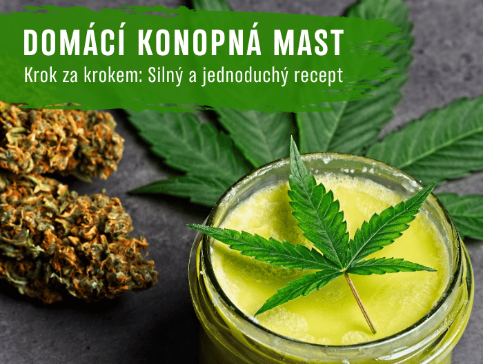 Jednoduchý recept na silnou domácí konopnou mast