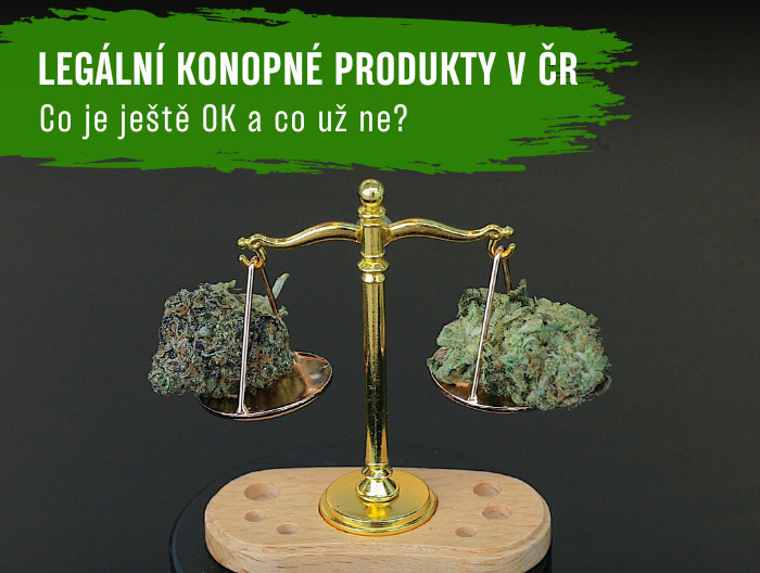 Legální konopné produkty v Česku: Co je ještě OK a co už ne?