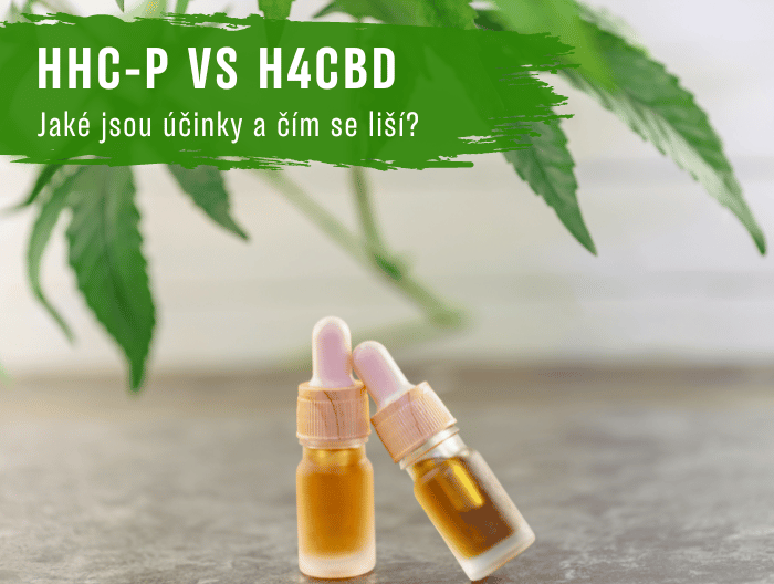 HHC-P vs H4CBD: Jaké jsou účinky?