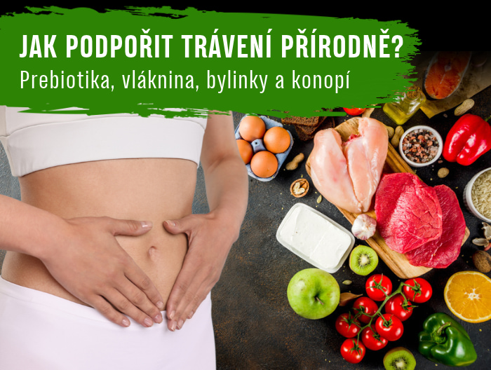 Jak podpořit trávení přírodně? Prebiotika, vláknina, bylinky a konopí