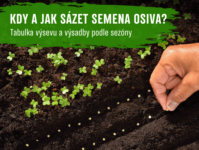 Kdy a jak sázet semena osiva: Tabulka výsevu a výsadby podle sezóny