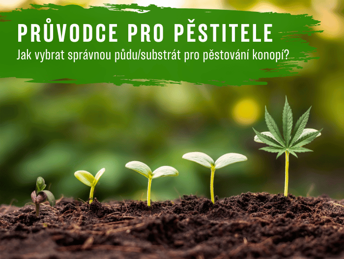 Jak vybrat správnou půdu a substrát pro pěstování konopí - Průvodce pro pěstitele