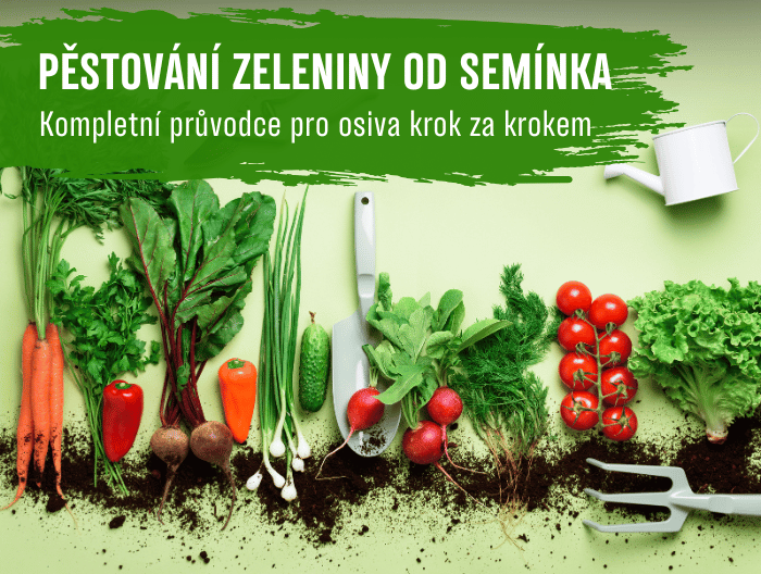 Pěstování zeleniny od semínka: Kompletní průvodce pro osiva krok za krokem