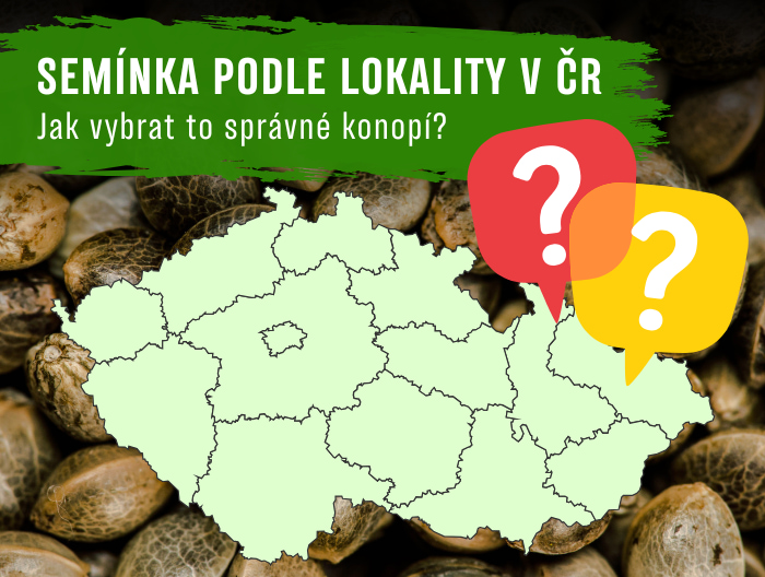 Nejlepší semínka podle lokality a klimatu v ČR: Jak vybrat to správné konopí?