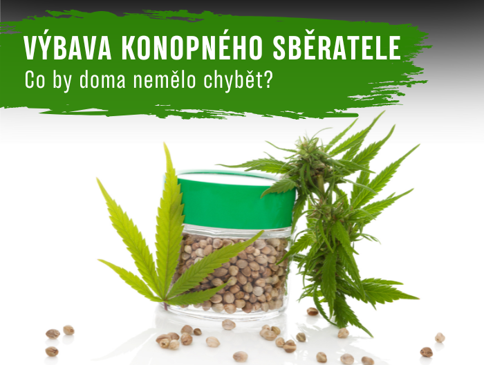 Výbava každého konopného sběratele: Co by doma nemělo chybět?