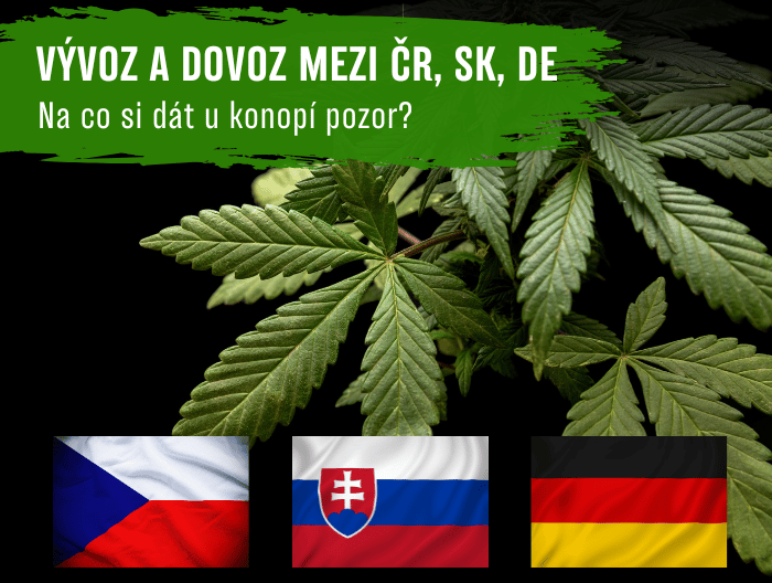 Pravidla vývozu a dovozu konopí mezi Českem, Slovenskem a Německem: Na co si dát pozor?
