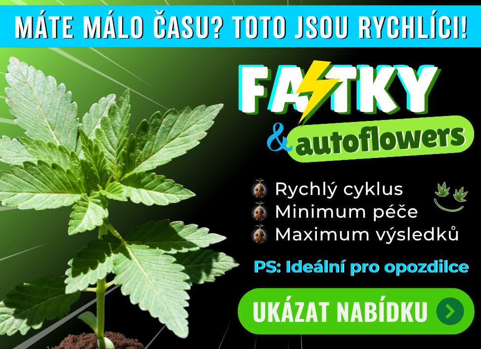 Fast a auto semínka konopí