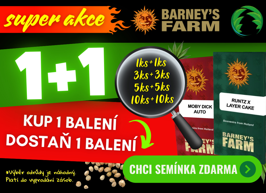 Akce 1+1 na BF