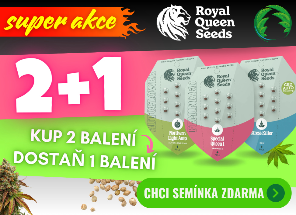 RQS 2+1 zdarma