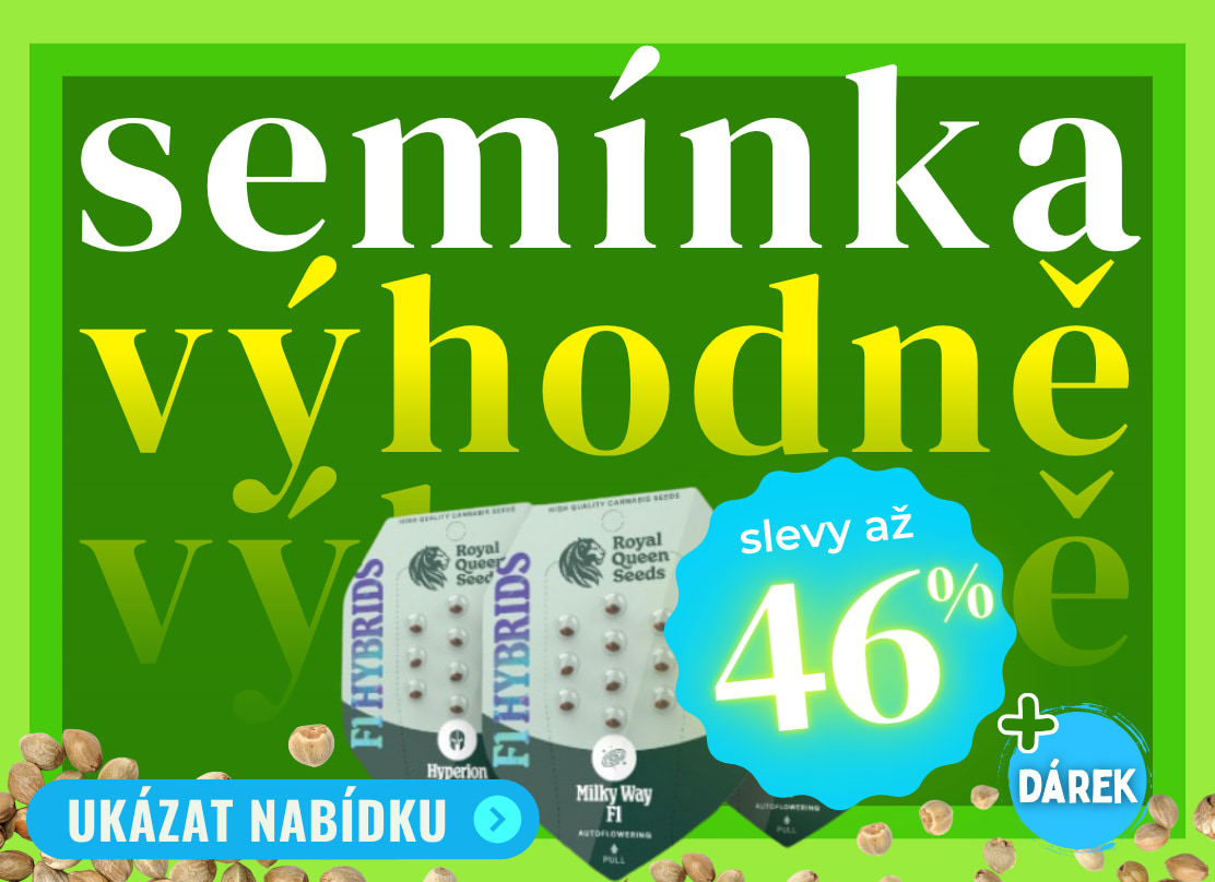 Zvýhodněná semínka marihuany