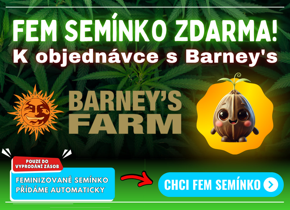 Semínko BF zdarma