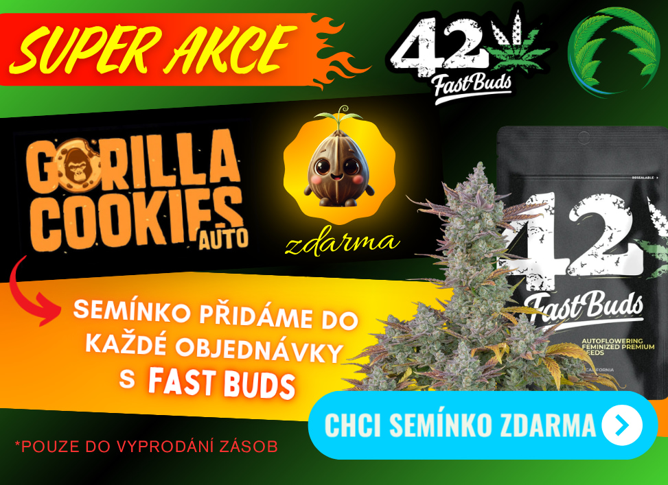 Semínko FB zdarma
