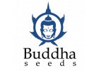 Buddha Seeds