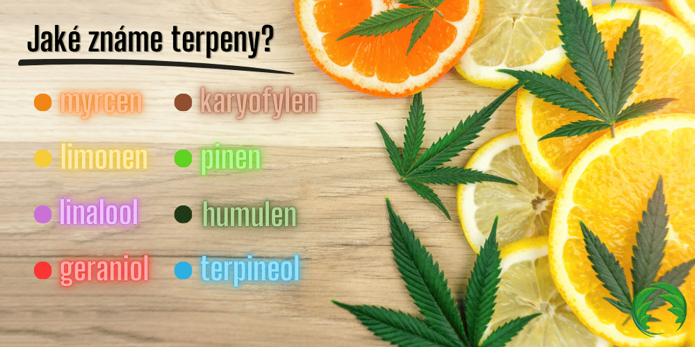 Jaké známe terpeny?