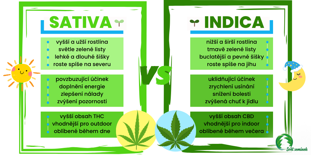 sativa vs indica