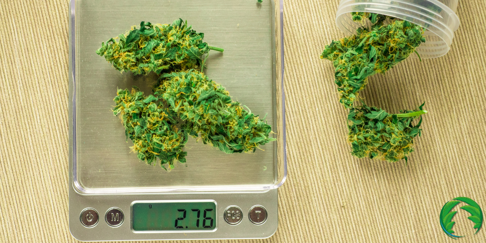 Květy konopí na váze