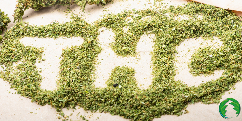 Nejsilnější odrůdy marihuany THC