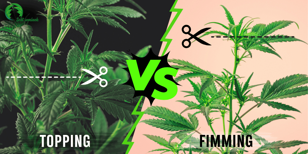 topping vs fimming