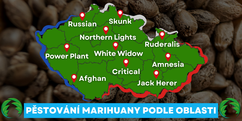 Mapa pěstování marihuany podle lokalit v ČR&nbsp;