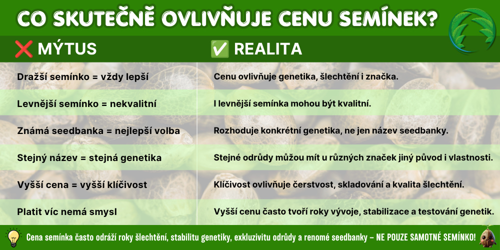 Cena semínek marihuany mýtus vs realita