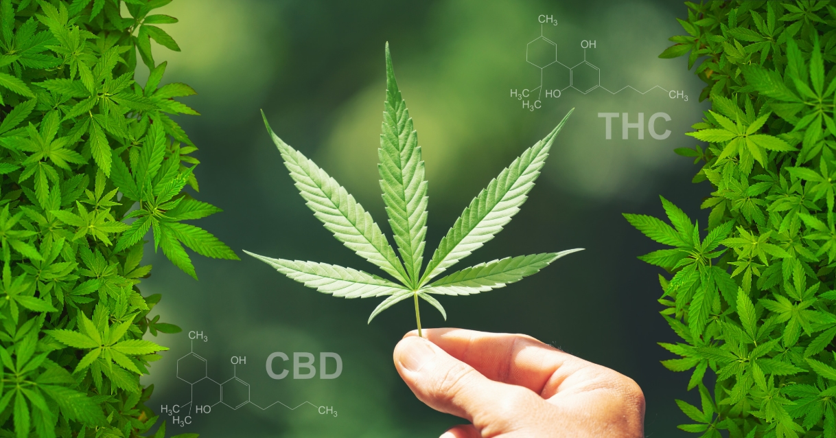 Chemická struktura CBD a THC