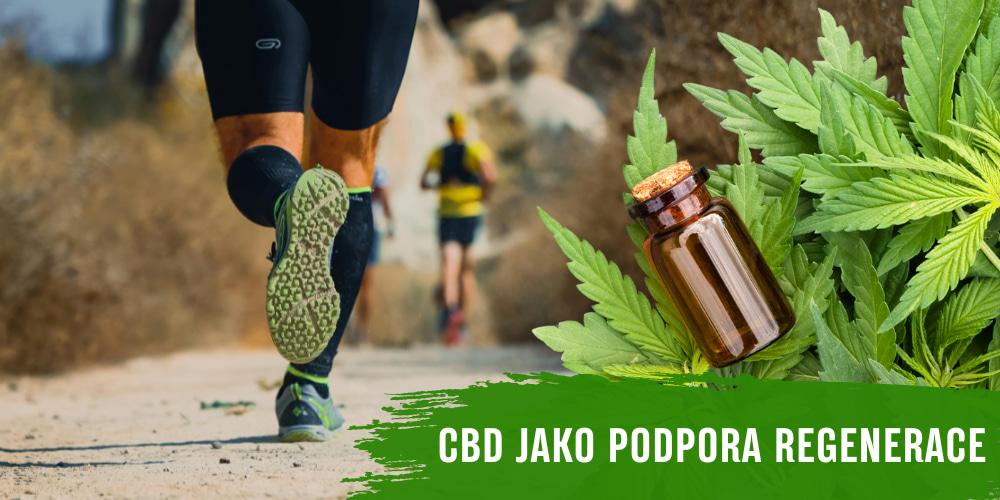 CBD a podpora regenerace při sportu