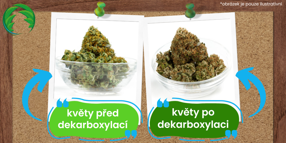 dekarboxylace konopí před - po
